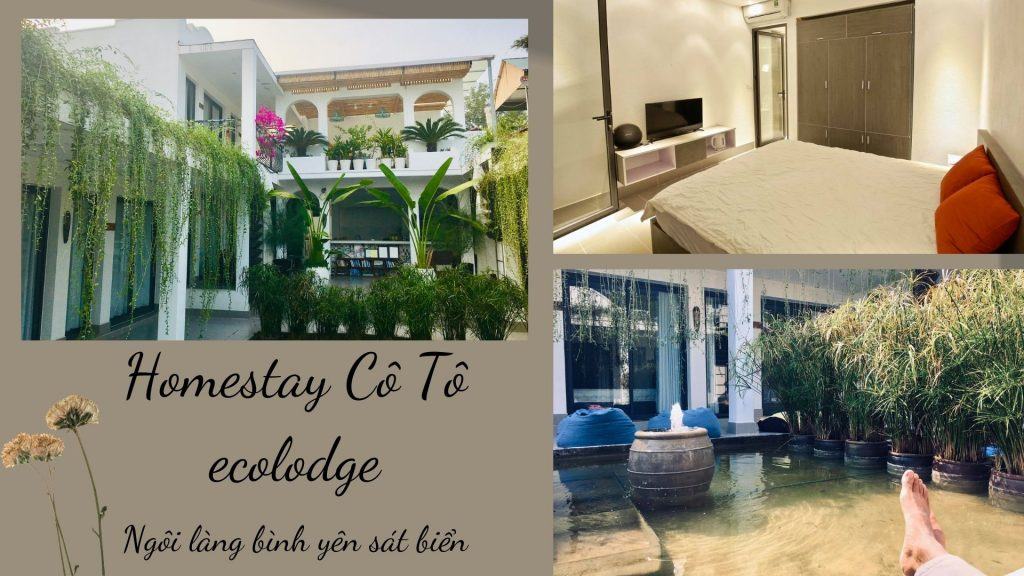 Mê mẩn thiết kế tối giản mà đẹp lạ của Coto Eco Lodge Homestay